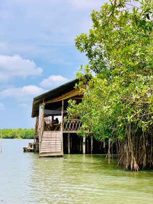 Top Romantic Destinations for an Engagement shoot in Benin Republic Part 2. why you should do an Engagement session in Benin Republic. By Thysiamore Original.